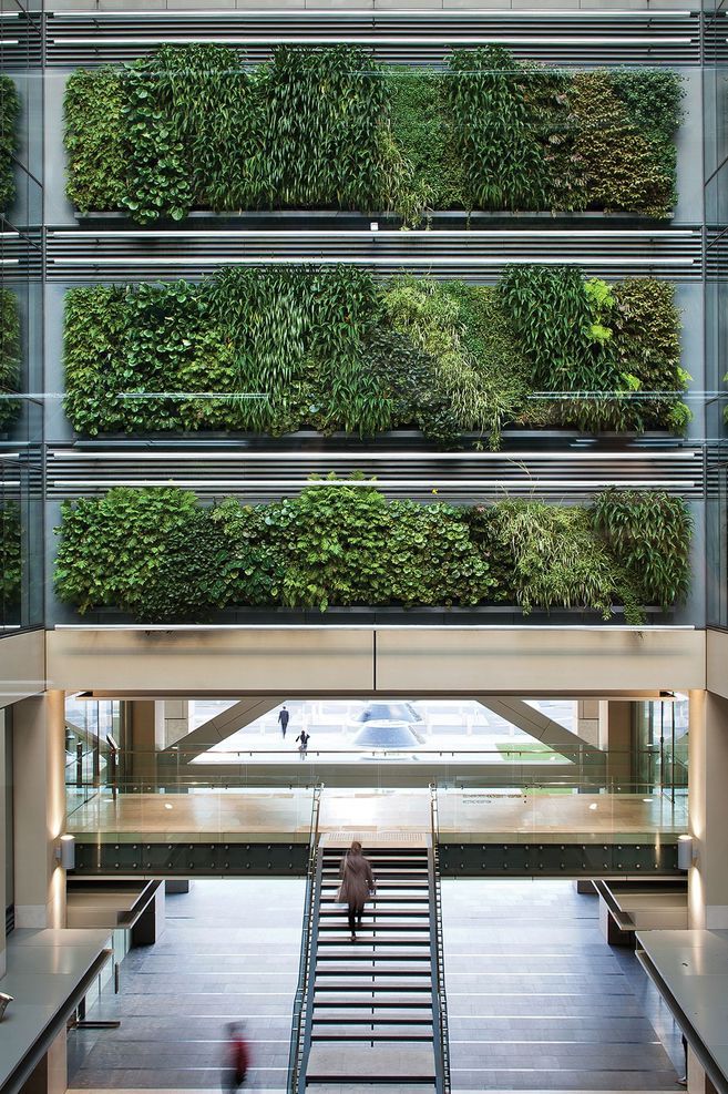 This green wall installation at Auckland's Britomart is composed of 60 individual panels containing a mix of natives and exotic epiphytes.