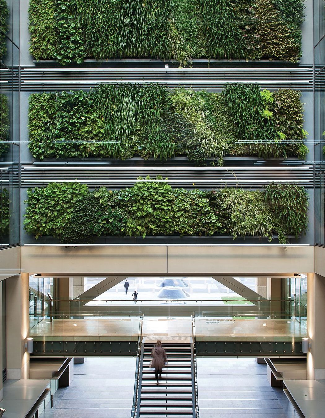 This green wall installation at Auckland's Britomart is composed of 60 individual panels containing a mix of natives and exotic epiphytes.