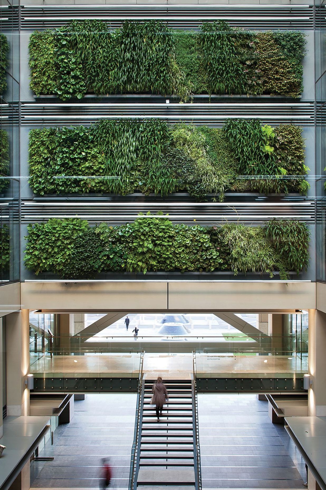 This green wall installation at Auckland's Britomart is composed of 60 individual panels containing a mix of natives and exotic epiphytes.