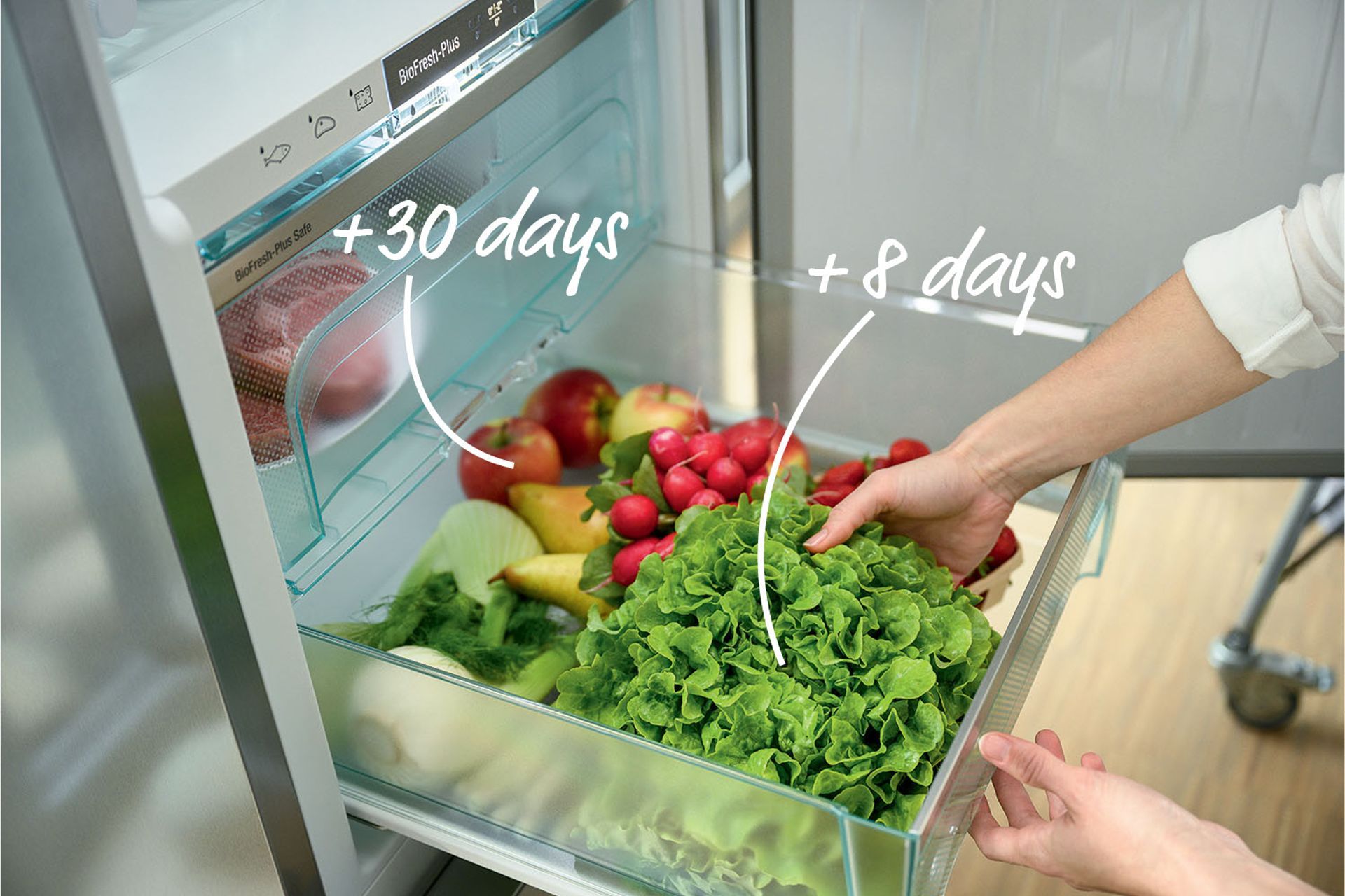 Ethylene – how it can contribute to shortening of food lifespan