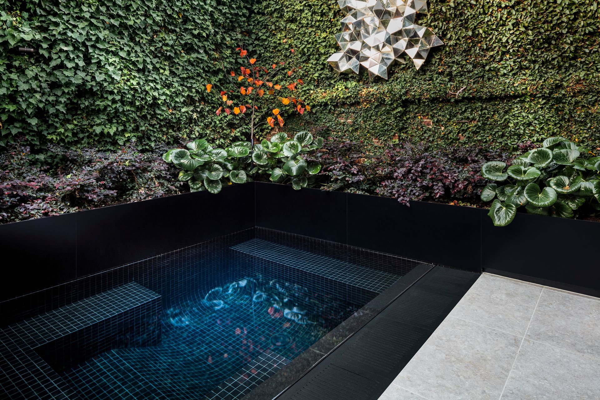 Featured project: Black.