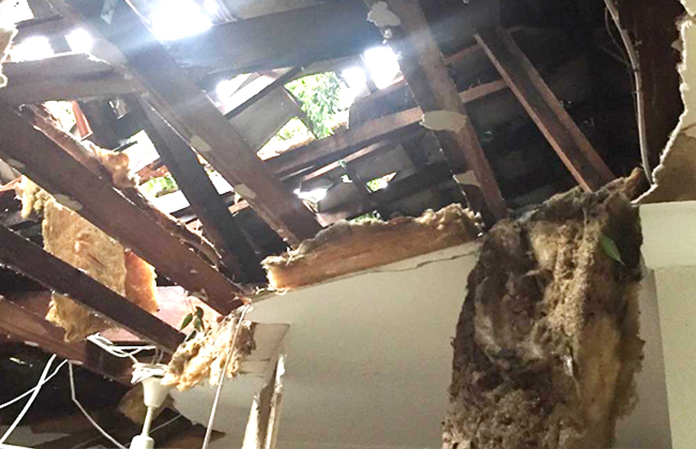Storm affected insulation segments