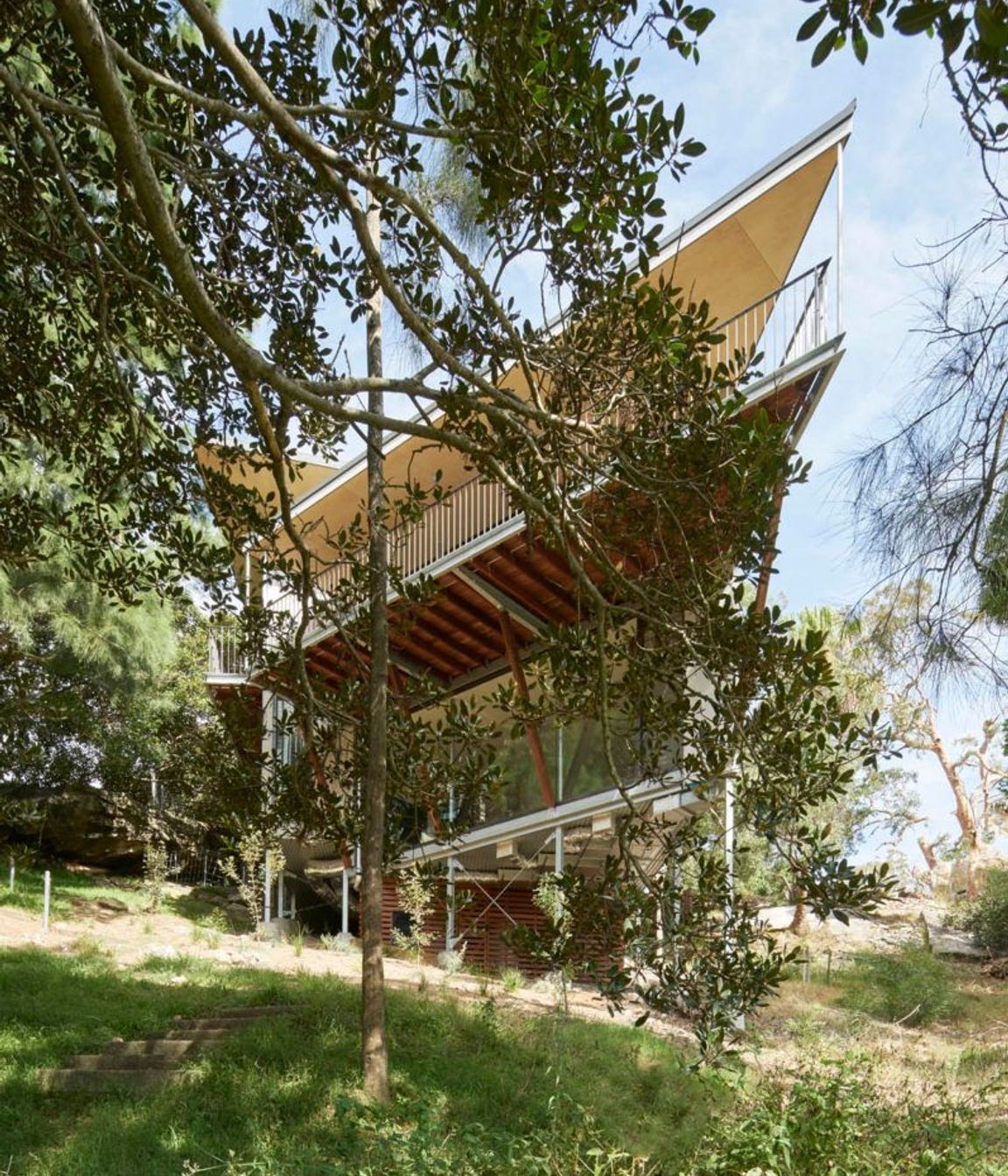 The elevated angled balcony opens to the north and the tree canopy
