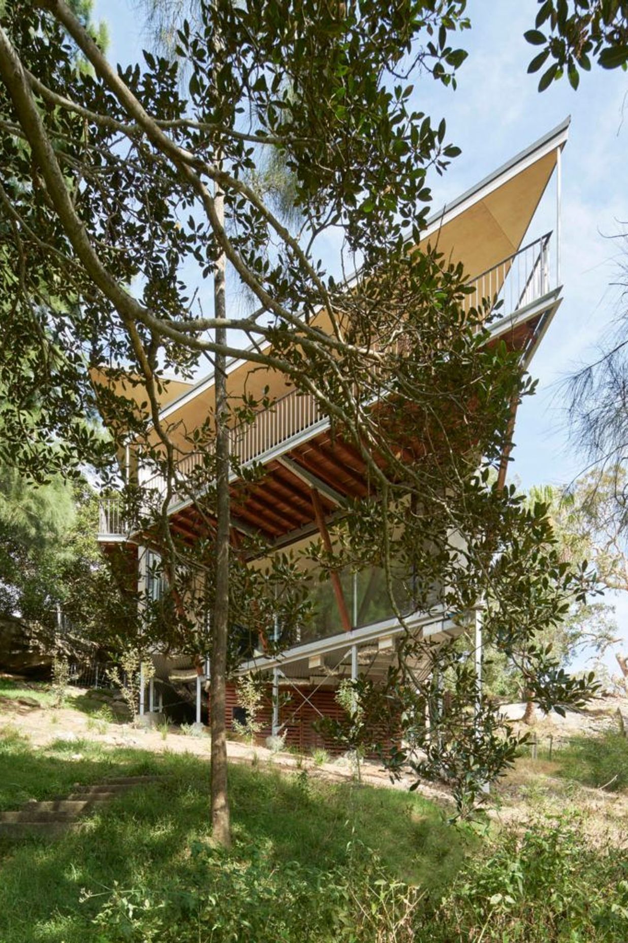 The elevated angled balcony opens to the north and the tree canopy