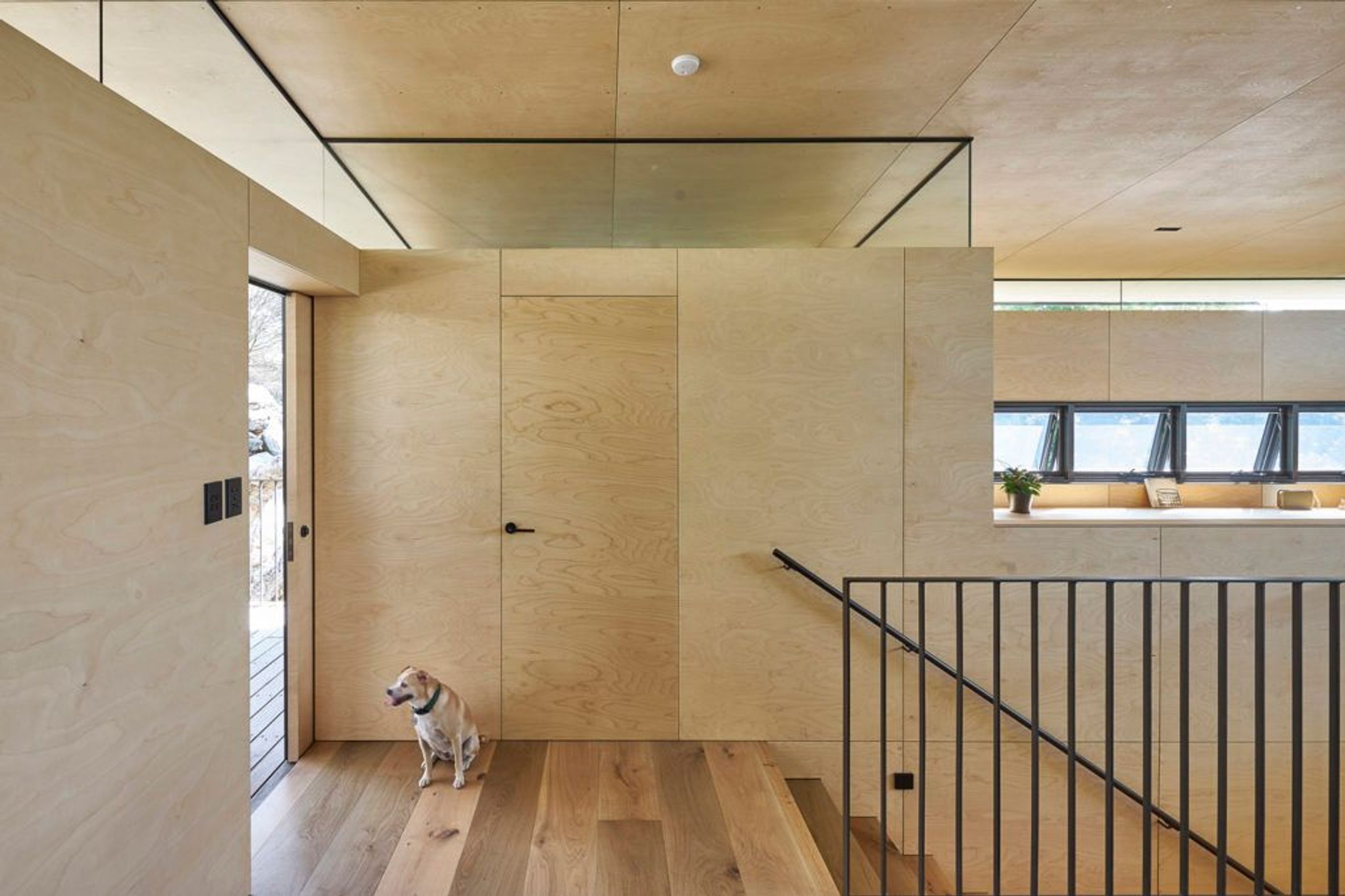 Birch ply lines the walls and ceilings and highlight windows allow natural light to penetrate the building