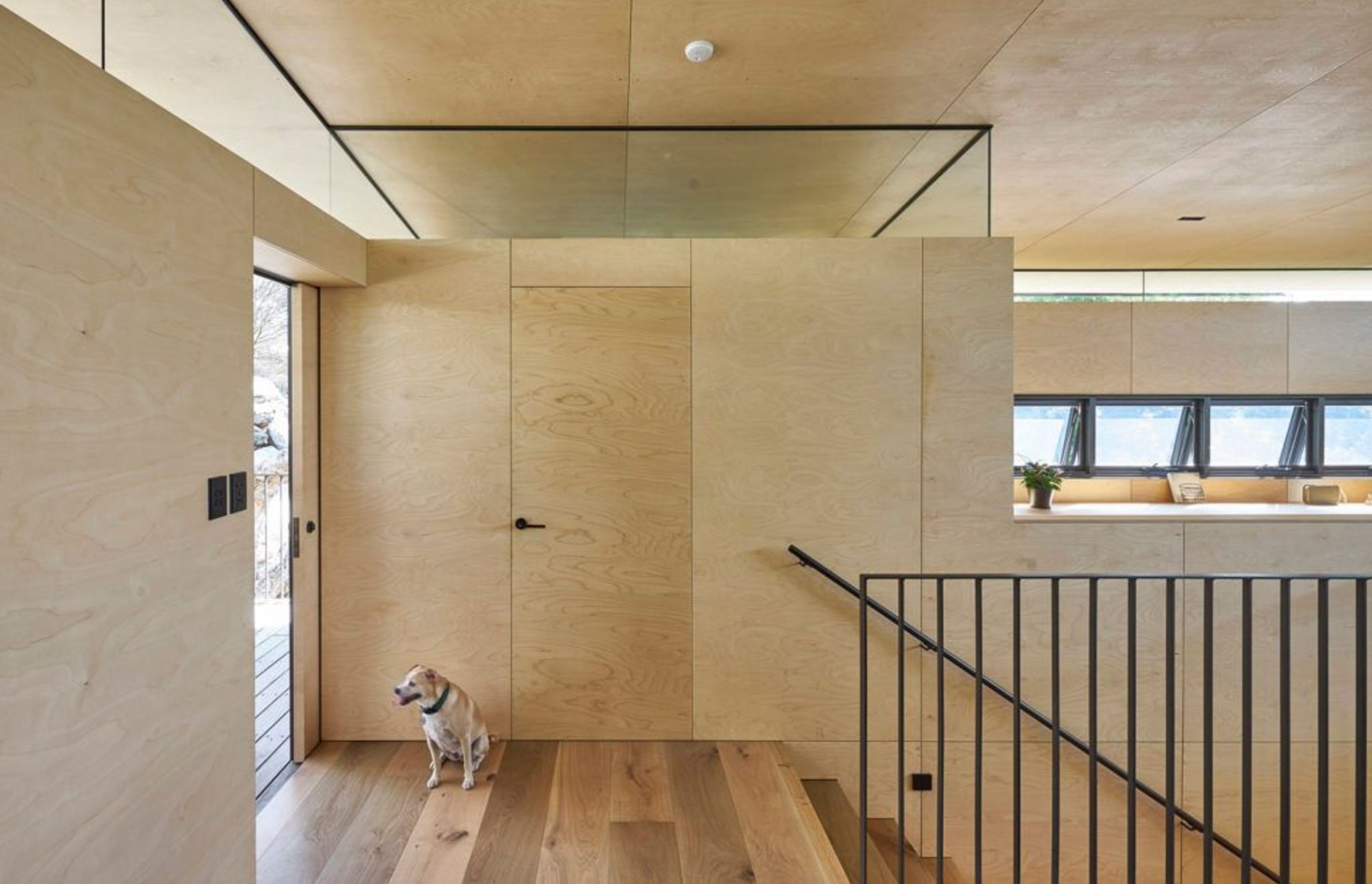 Birch ply lines the walls and ceilings and highlight windows allow natural light to penetrate the building