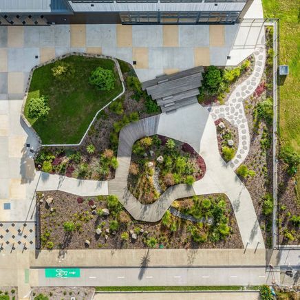 The school landscape inspiring children to connect with nature