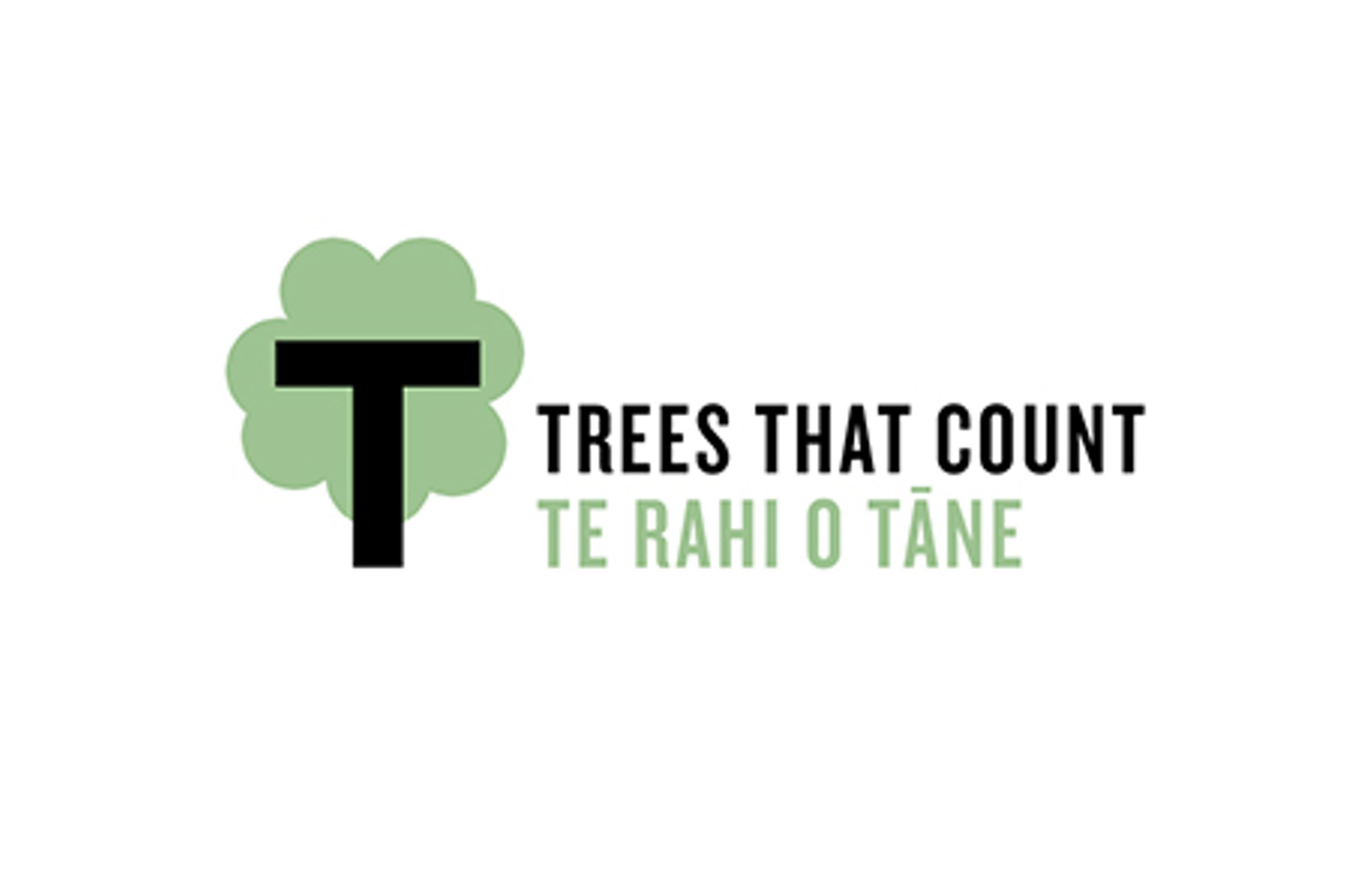 CMT Group is Giving Back