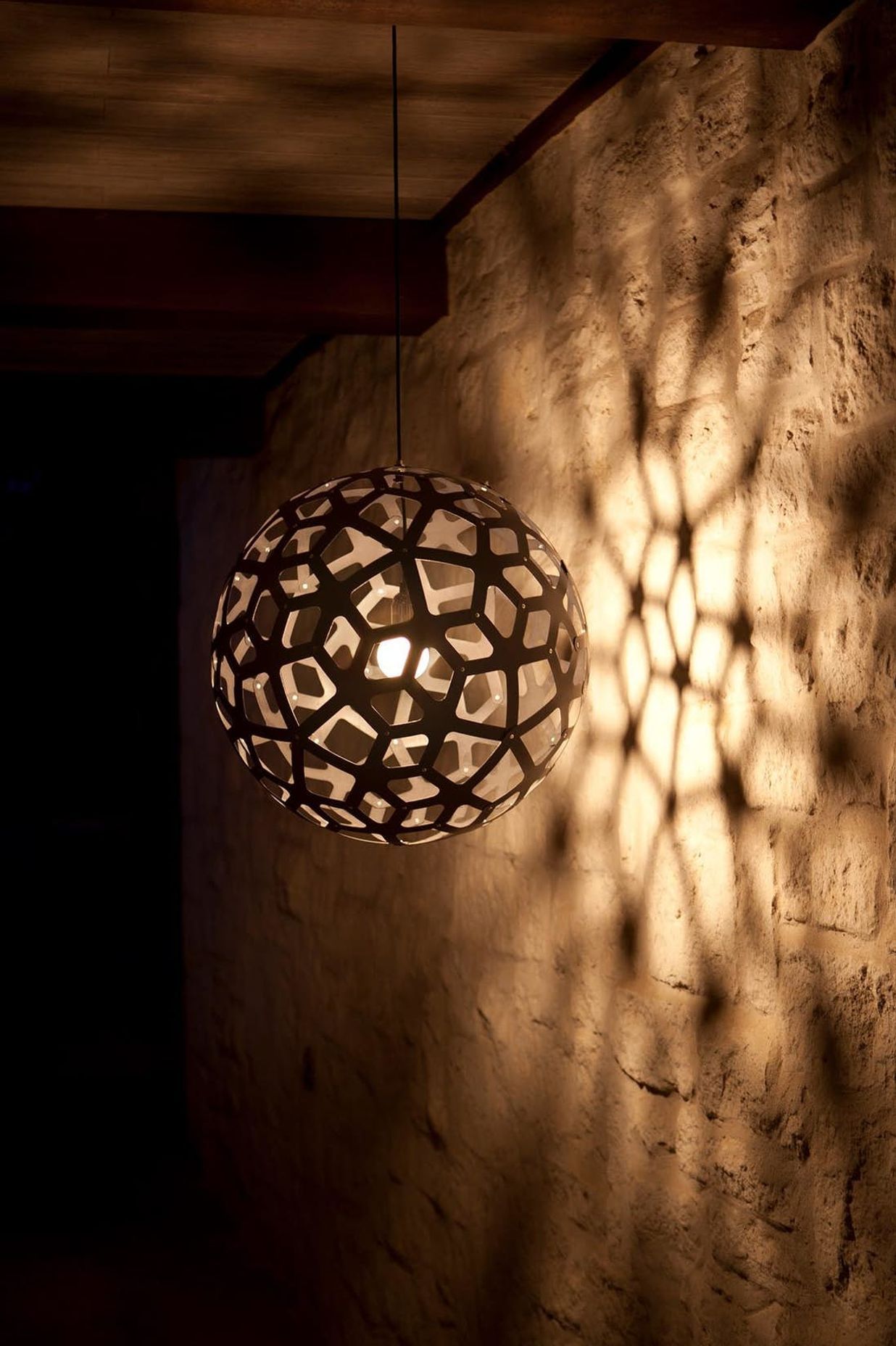 Coral Pendant Light by David Trubridge