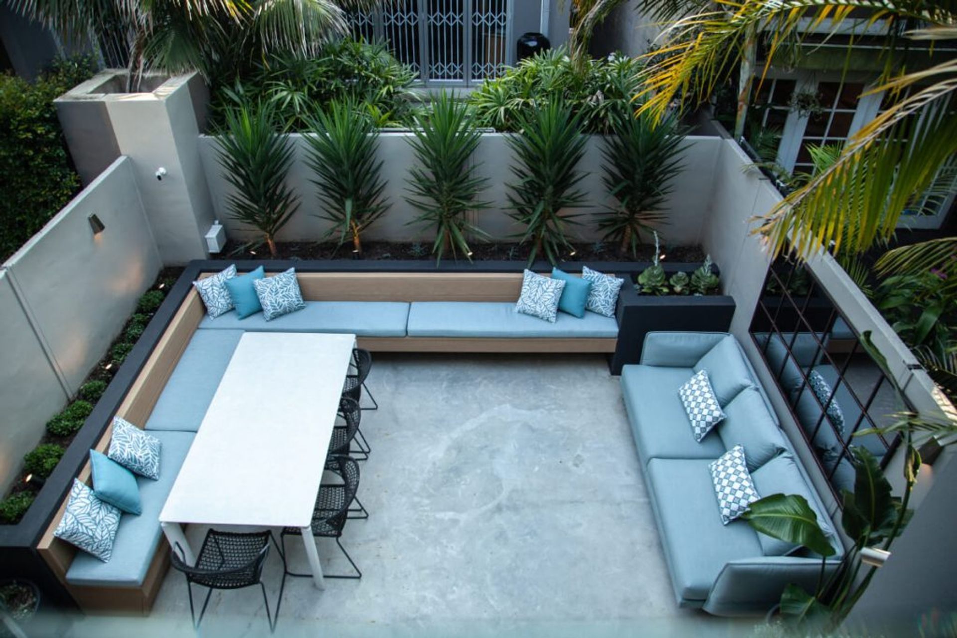 Courtyard-garden-design-Sydney-By-Vogue-Vine.jpeg