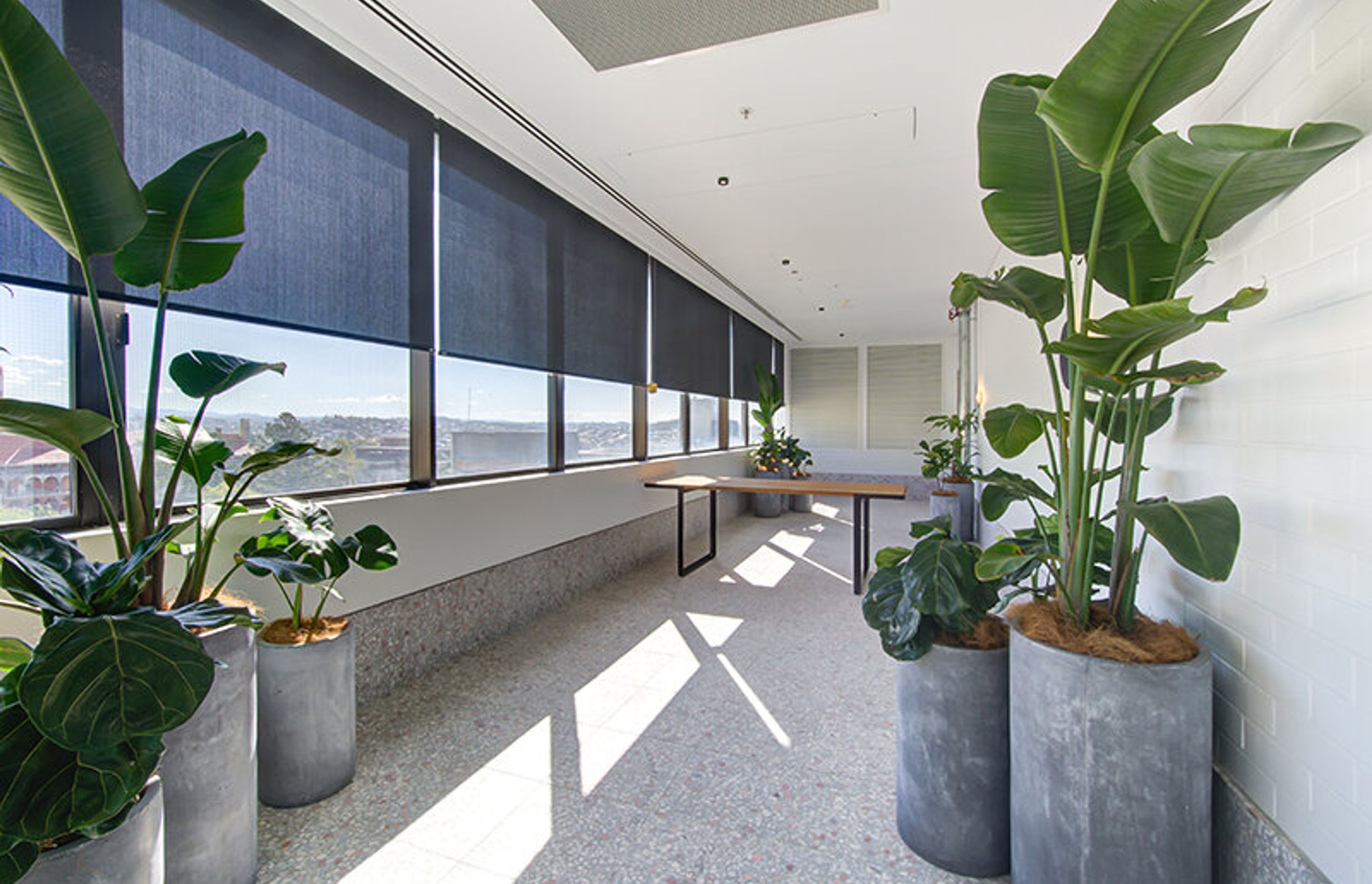Covet Terrazzo at the heart of Herston BioFabrication Institute Fit-Out