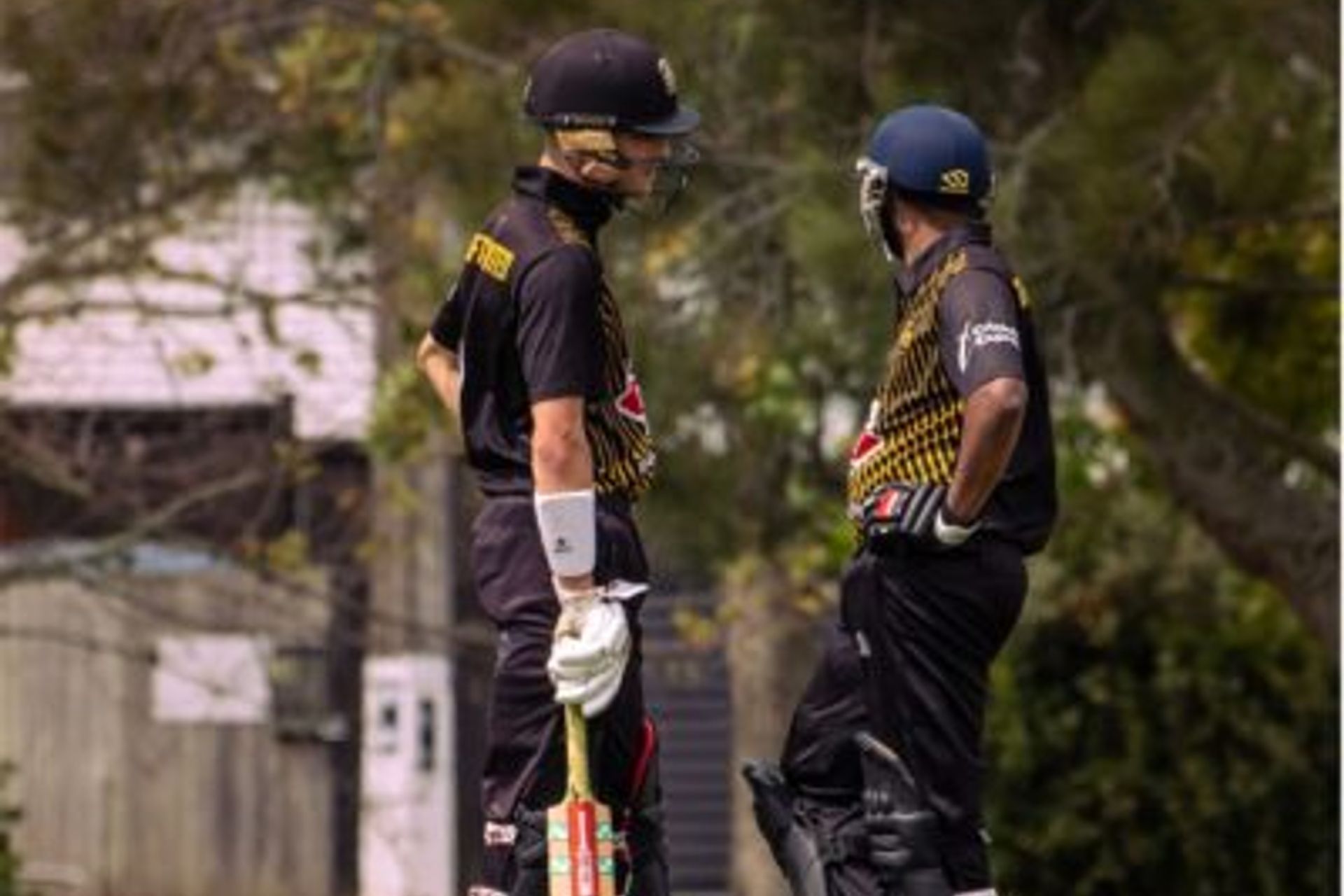 Cricket: Maintaining Your Artificial Cricket Turf