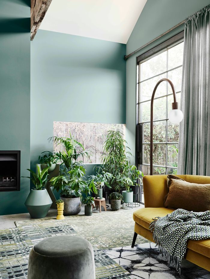 Image credit: Wall (left) Dulux® Hancock, wall (right) Dulux® Pencarrow. Styling: Bree Leech, Photographer: Lisa Cohen.