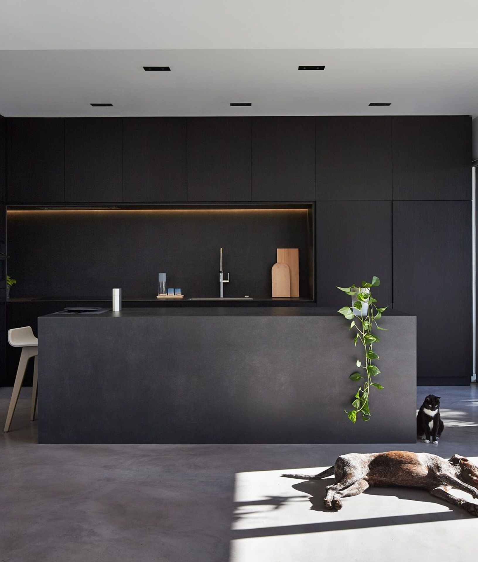 Lifestyle, Product Features