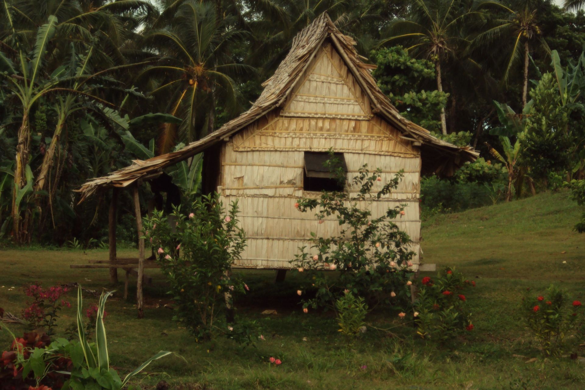 Women in architecture: Judith Taylor