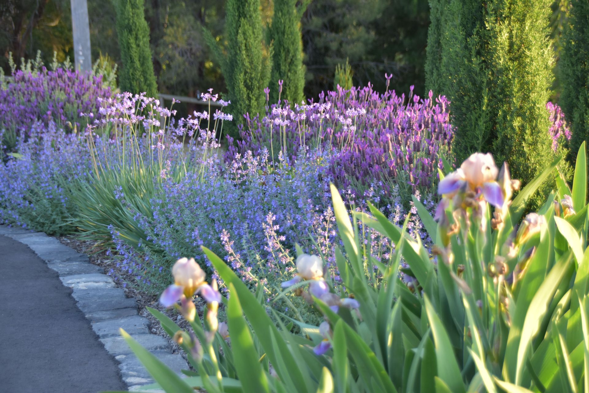 Wonga Park - Country Garden by MG Gardens | Photography by Meg Geary