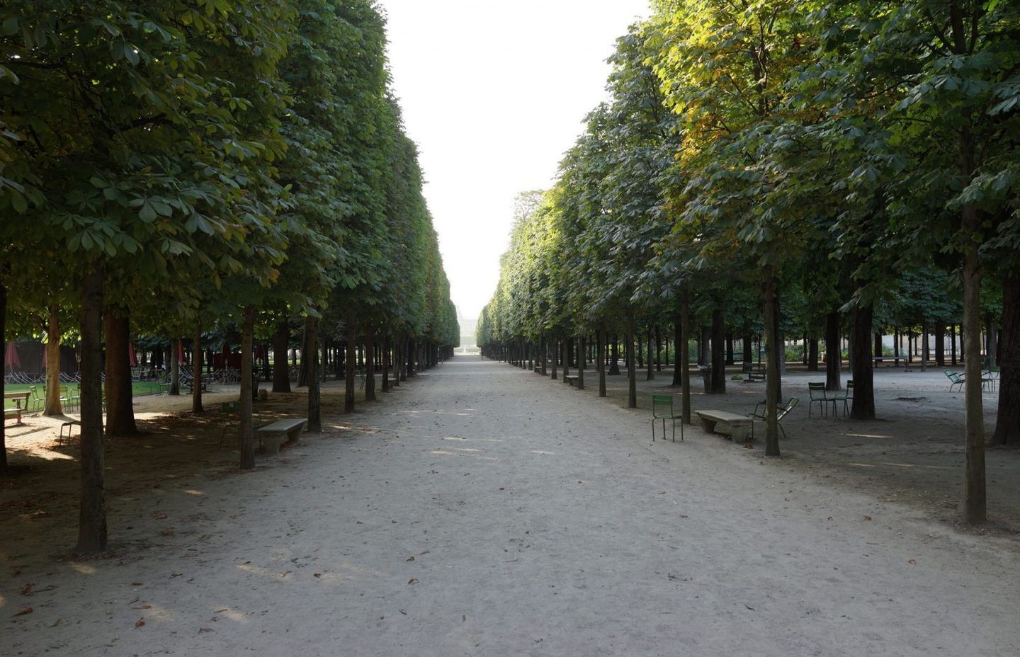 Pleached Vistas last the Tuileries