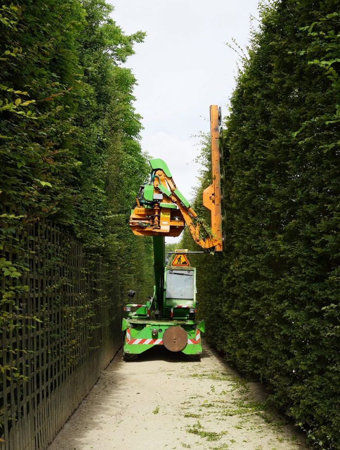 Hedging Versiaillis