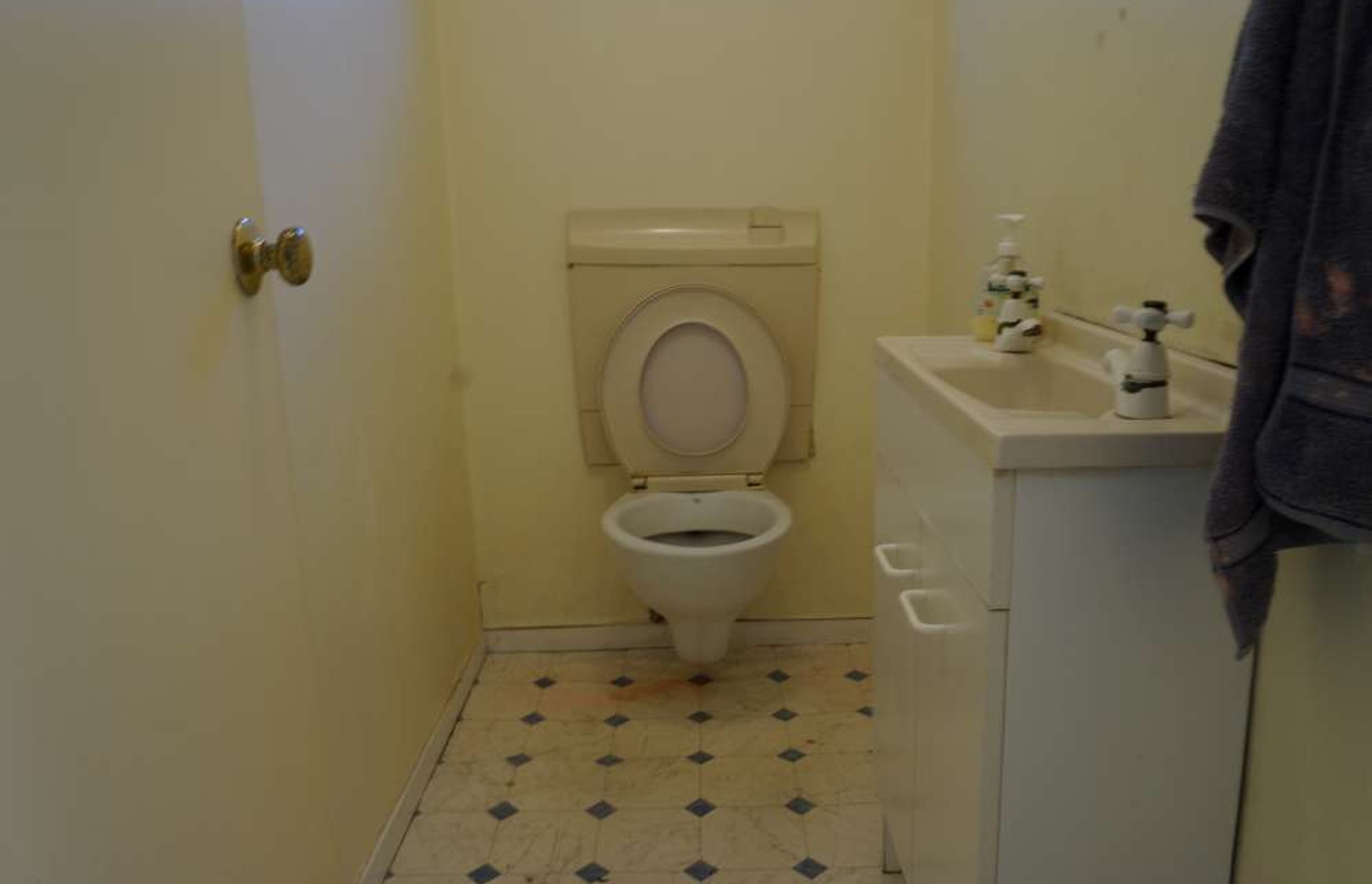 BEFORE we renovated the toilet