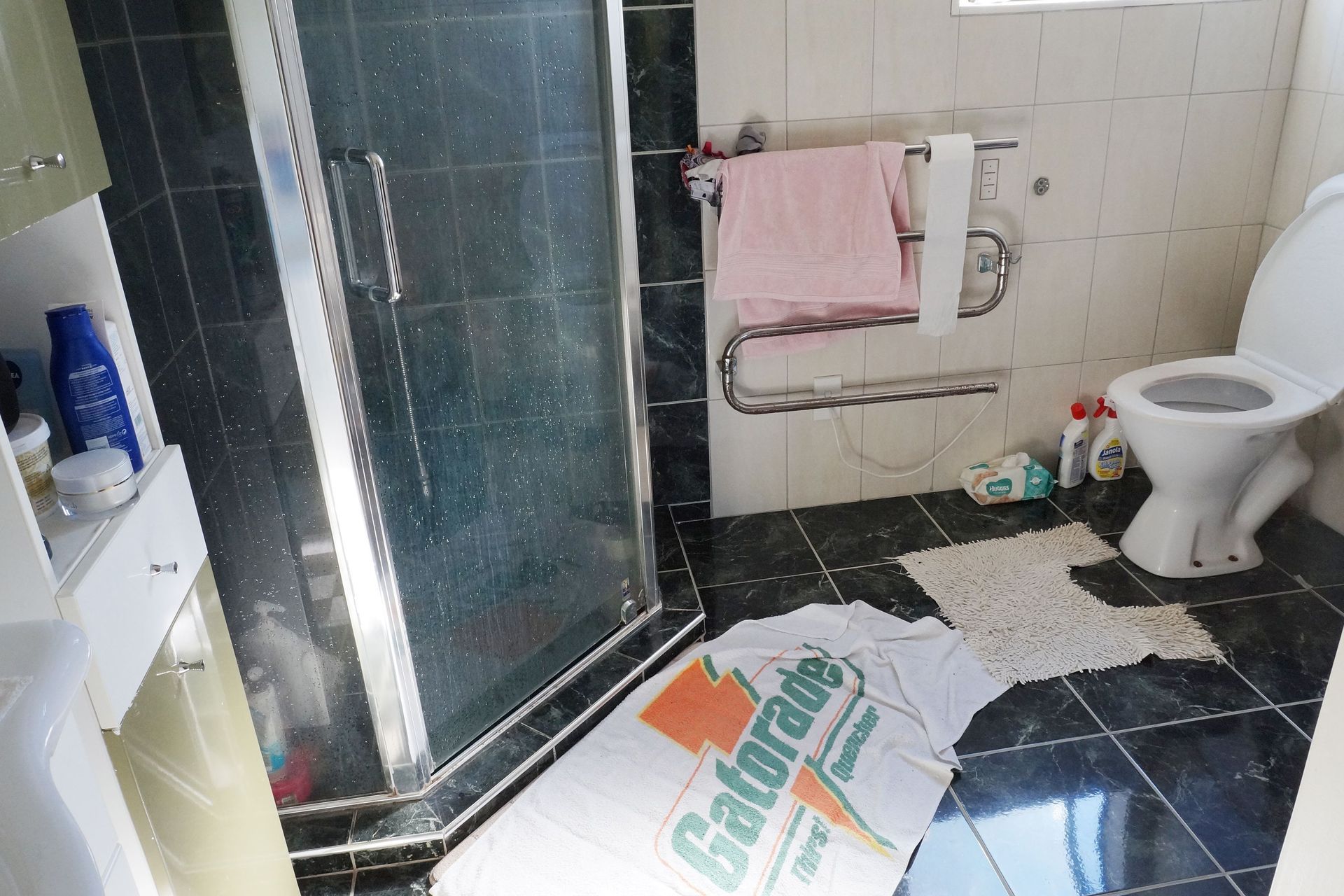 BEFORE we renovated the guest Ensuite