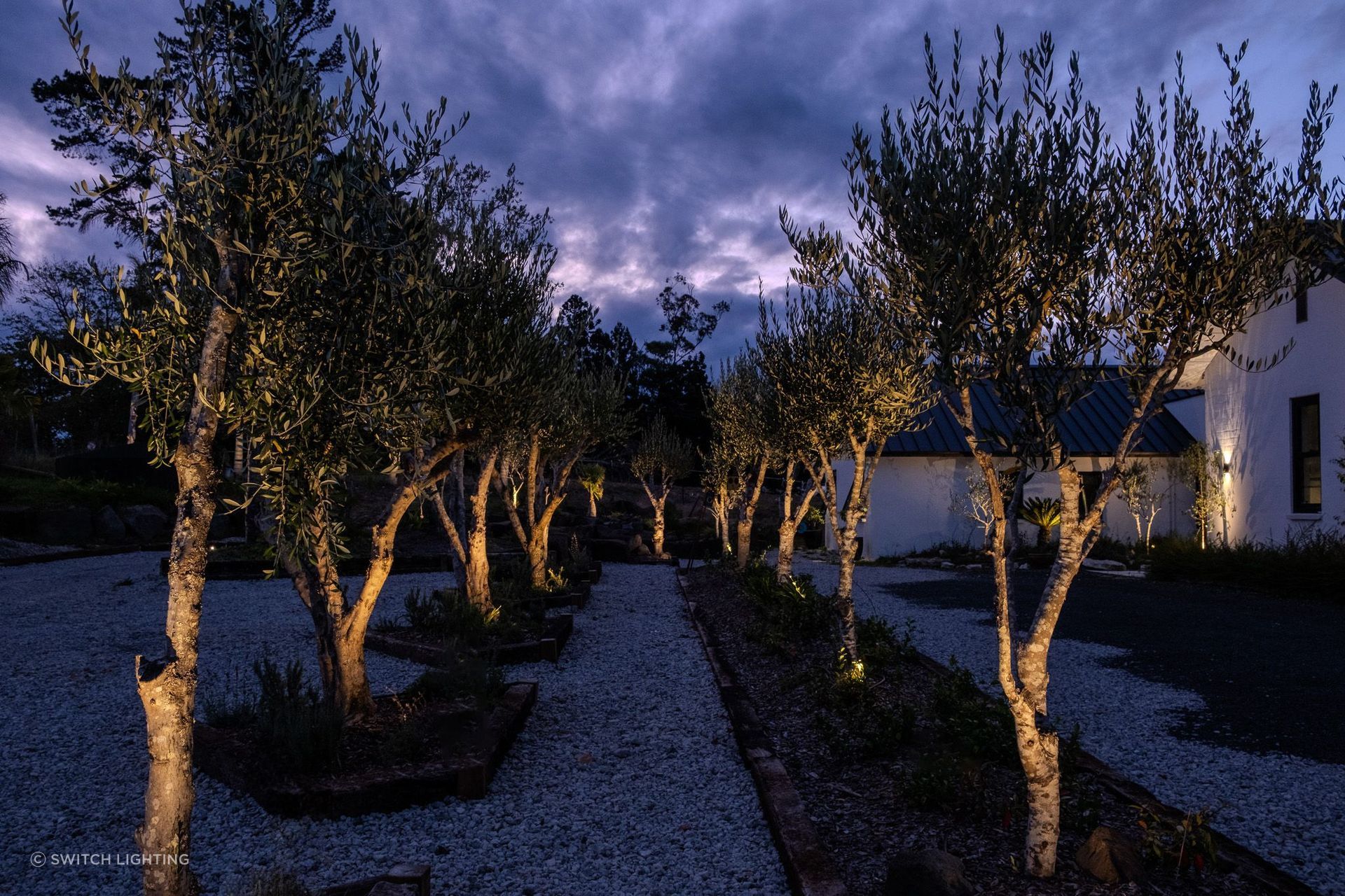 DSCF1668-edit.jpg