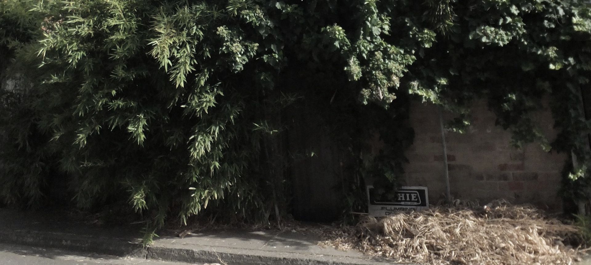 banner