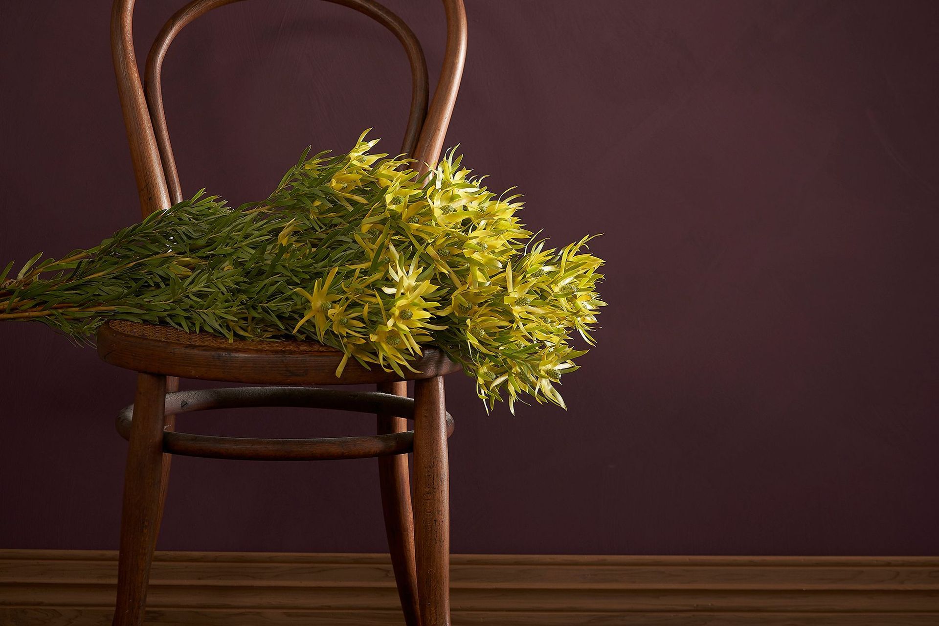 Smooth Impasto in Grenache