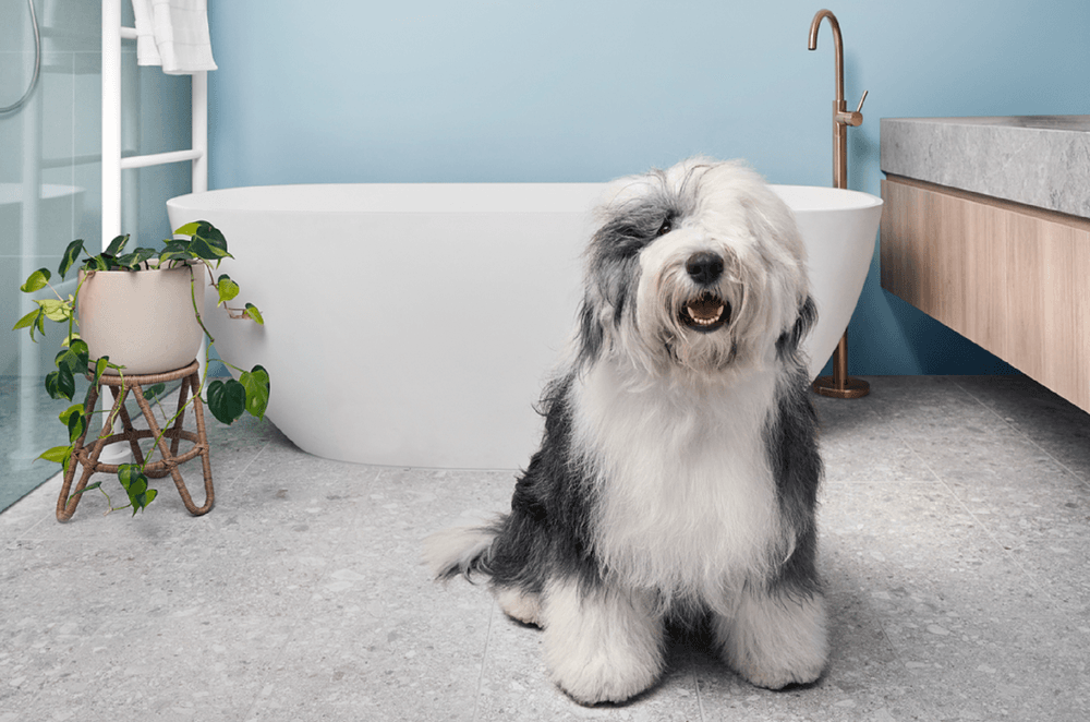 DigitalSize-Bathroom-SceneDULUXWASHWEAR.png
