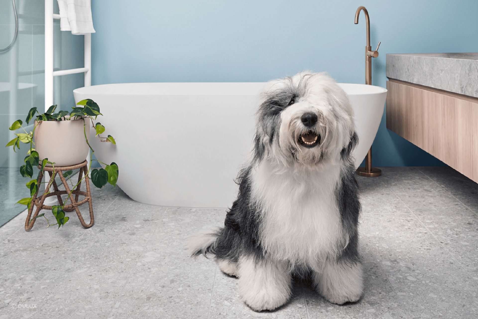 DigitalSize-Bathroom-SceneDULUXWASHWEAR.png
