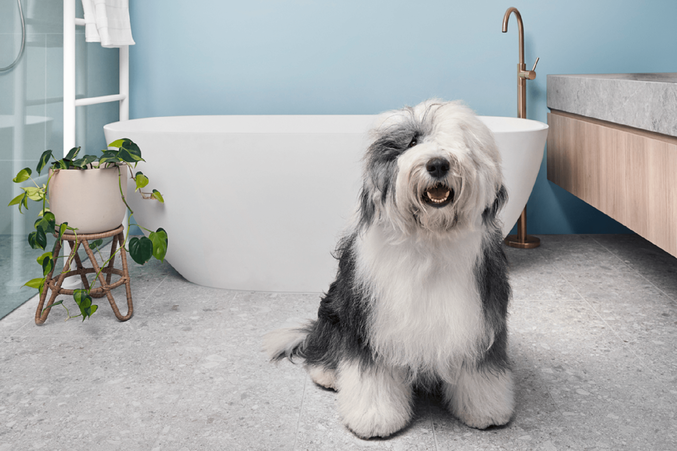 DigitalSize-Bathroom-SceneDULUXWASHWEAR.png