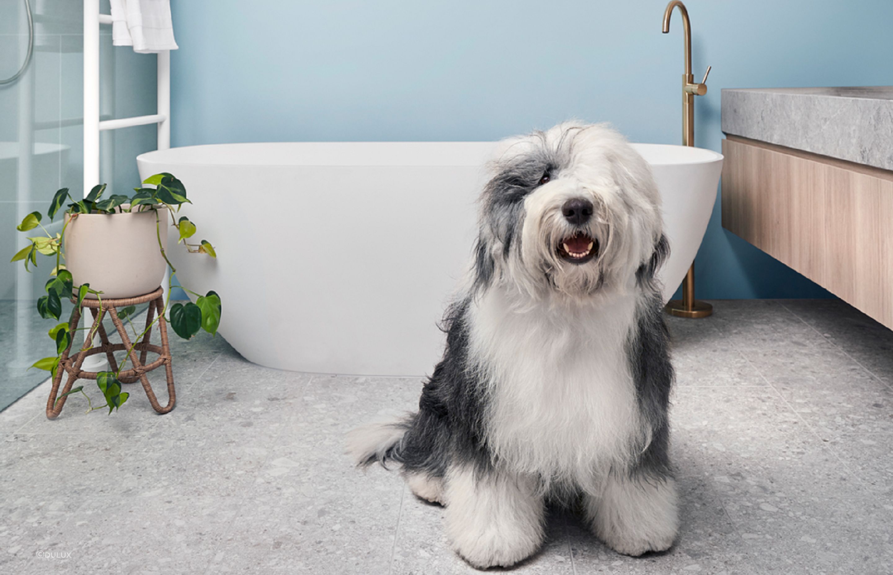 DigitalSize-Bathroom-SceneDULUXWASHWEAR.png