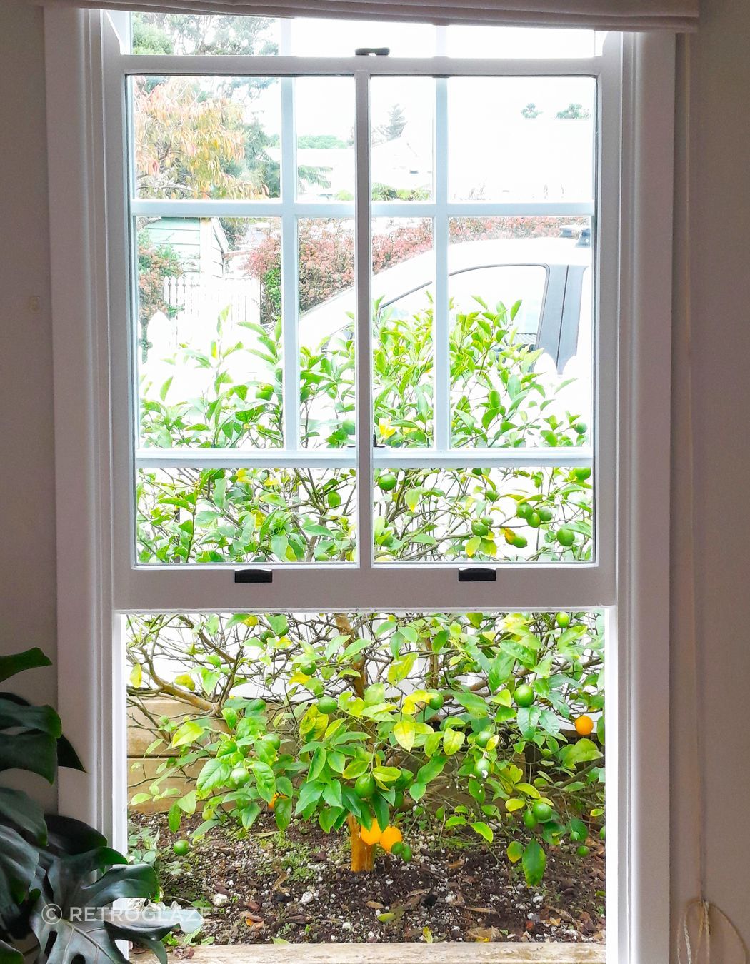 Classic double hung windows with colonial bars complete the colonial charm of this Ngaio railway cottage.