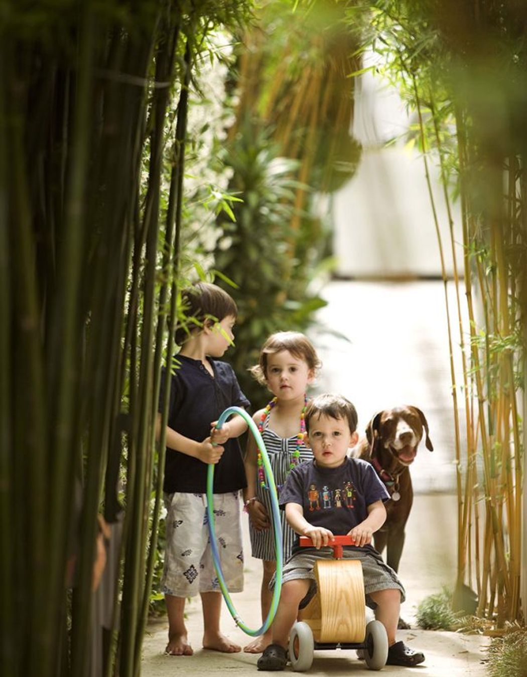 Dream gardens and movie magic: How pop culture can inspire your next outdoor project