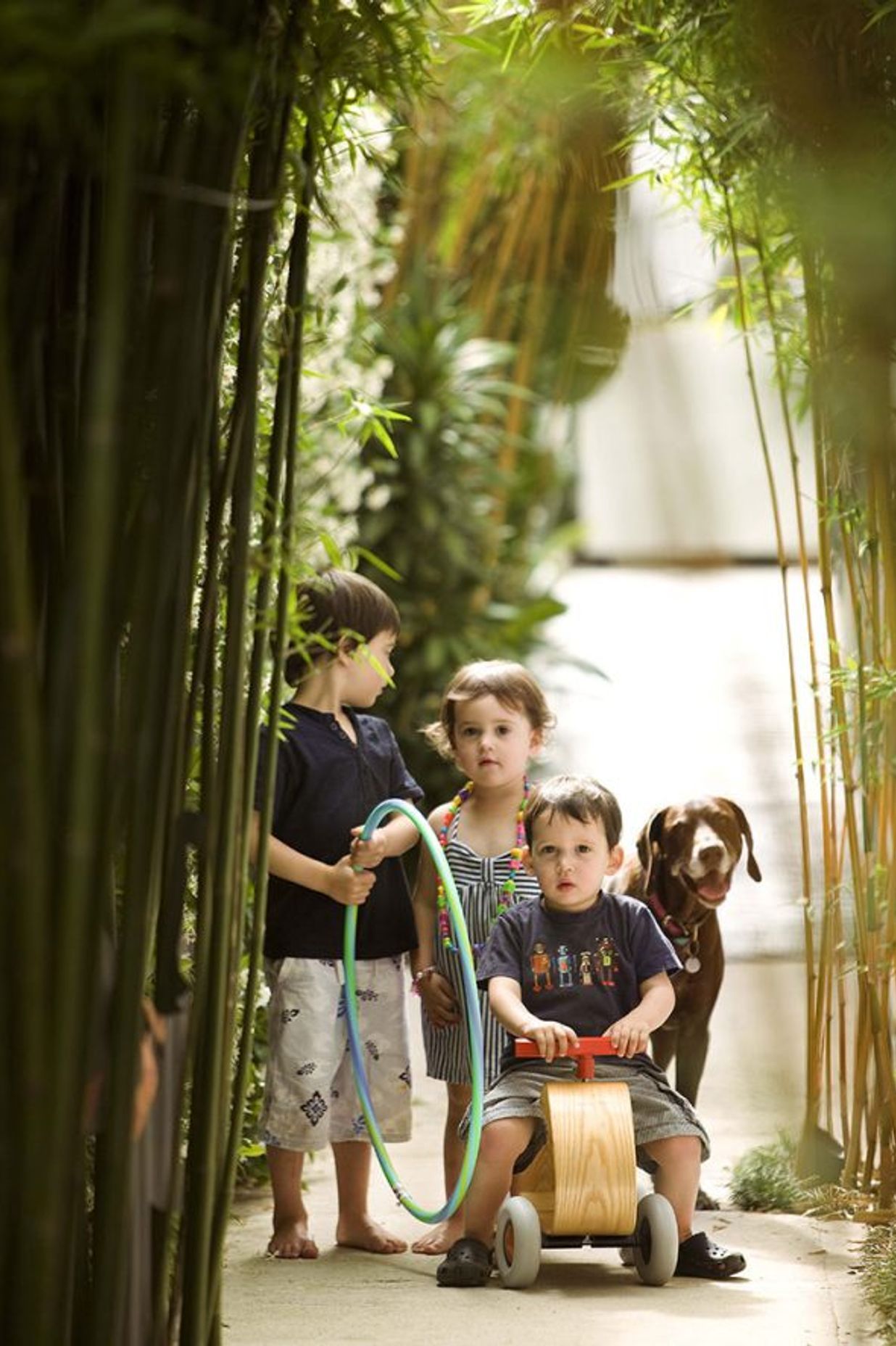 Dream gardens and movie magic: How pop culture can inspire your next outdoor project