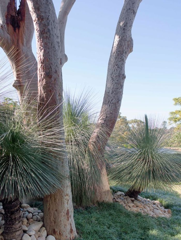 Dream gardens and movie magic: How pop culture can inspire your next outdoor project