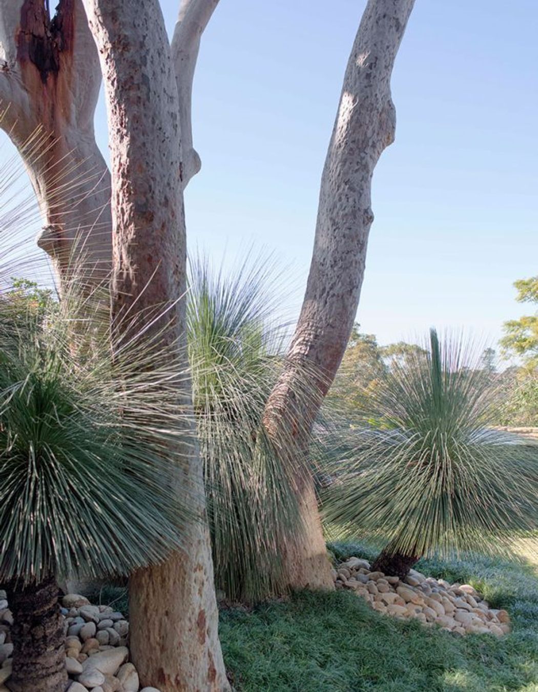 Dream gardens and movie magic: How pop culture can inspire your next outdoor project