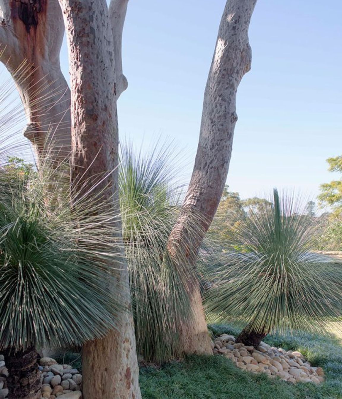 Dream gardens and movie magic: How pop culture can inspire your next outdoor project