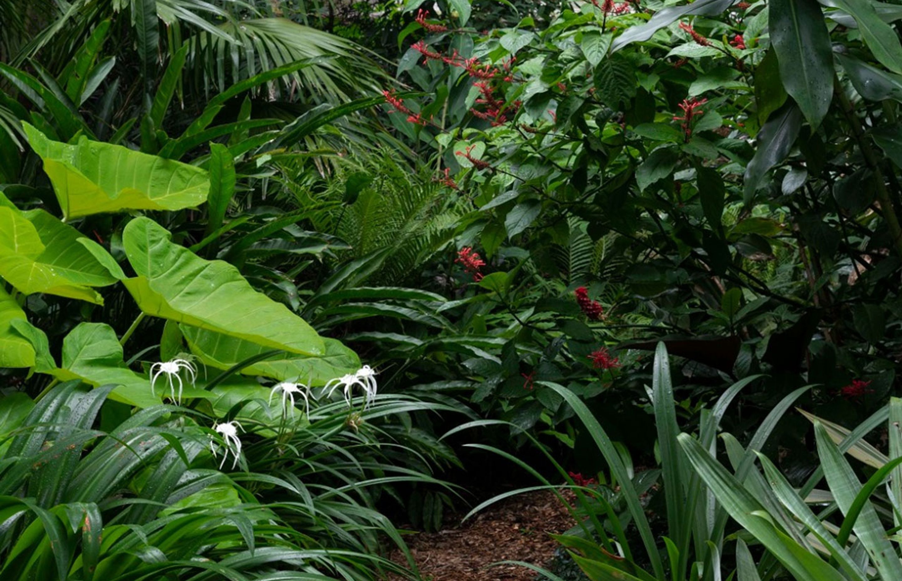 Dream gardens and movie magic: How pop culture can inspire your next outdoor project