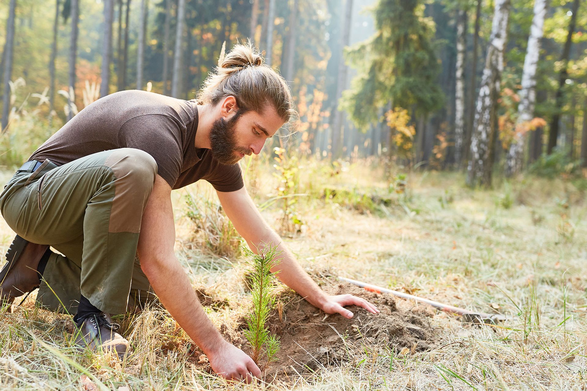 Eco Labels and Reclaimed Wood: The Different Faces of the Sustainable Timber Flooring Industry