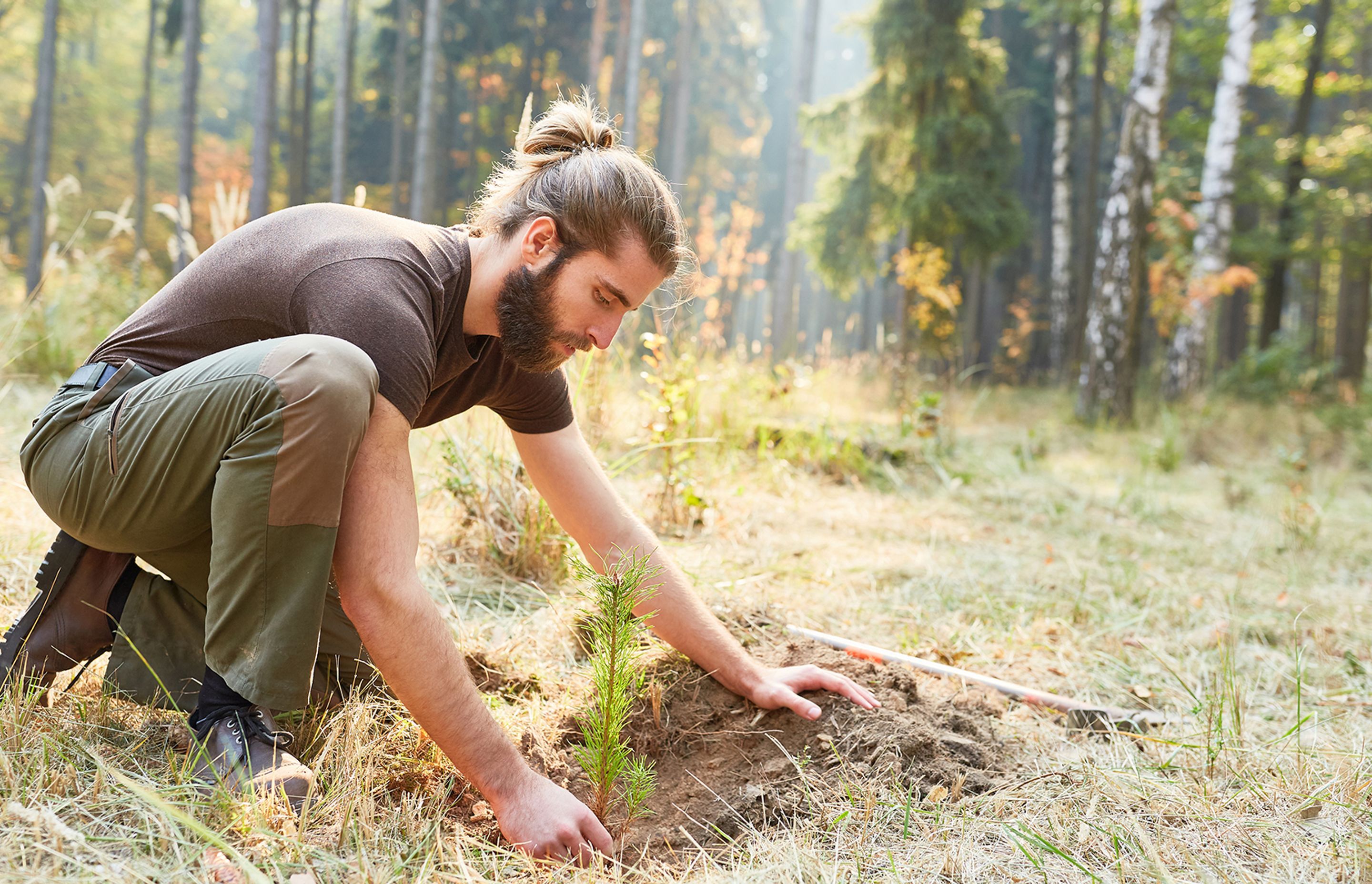 Eco Labels and Reclaimed Wood: The Different Faces of the Sustainable Timber Flooring Industry