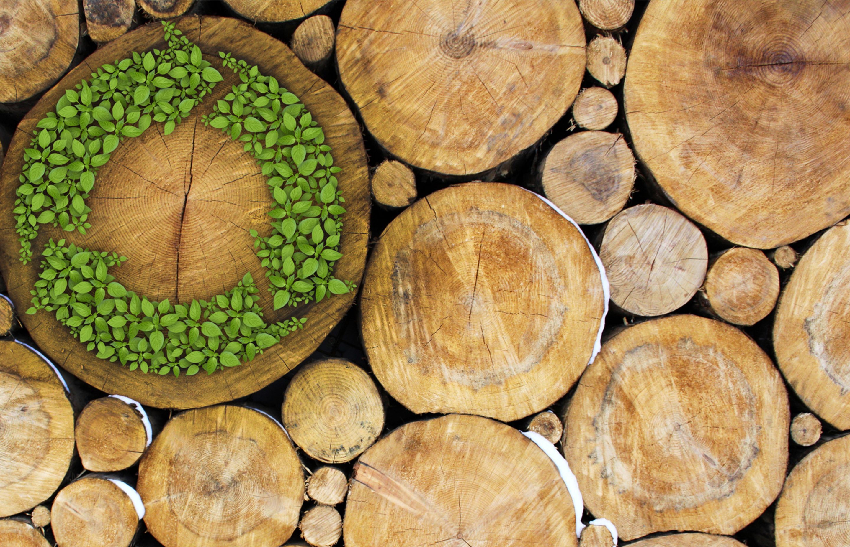 Eco Labels and Reclaimed Wood: The Different Faces of the Sustainable Timber Flooring Industry