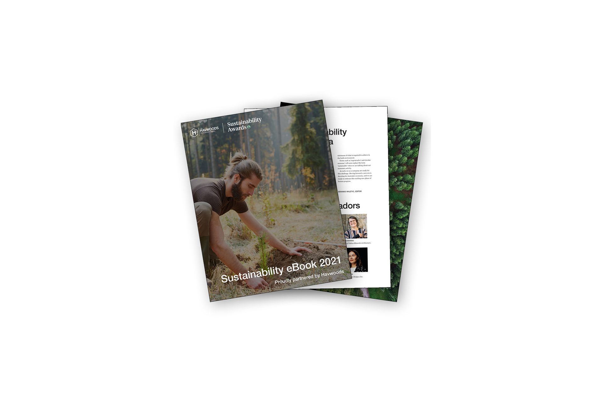 Eco Labels and Reclaimed Wood: The Different Faces of the Sustainable Timber Flooring Industry