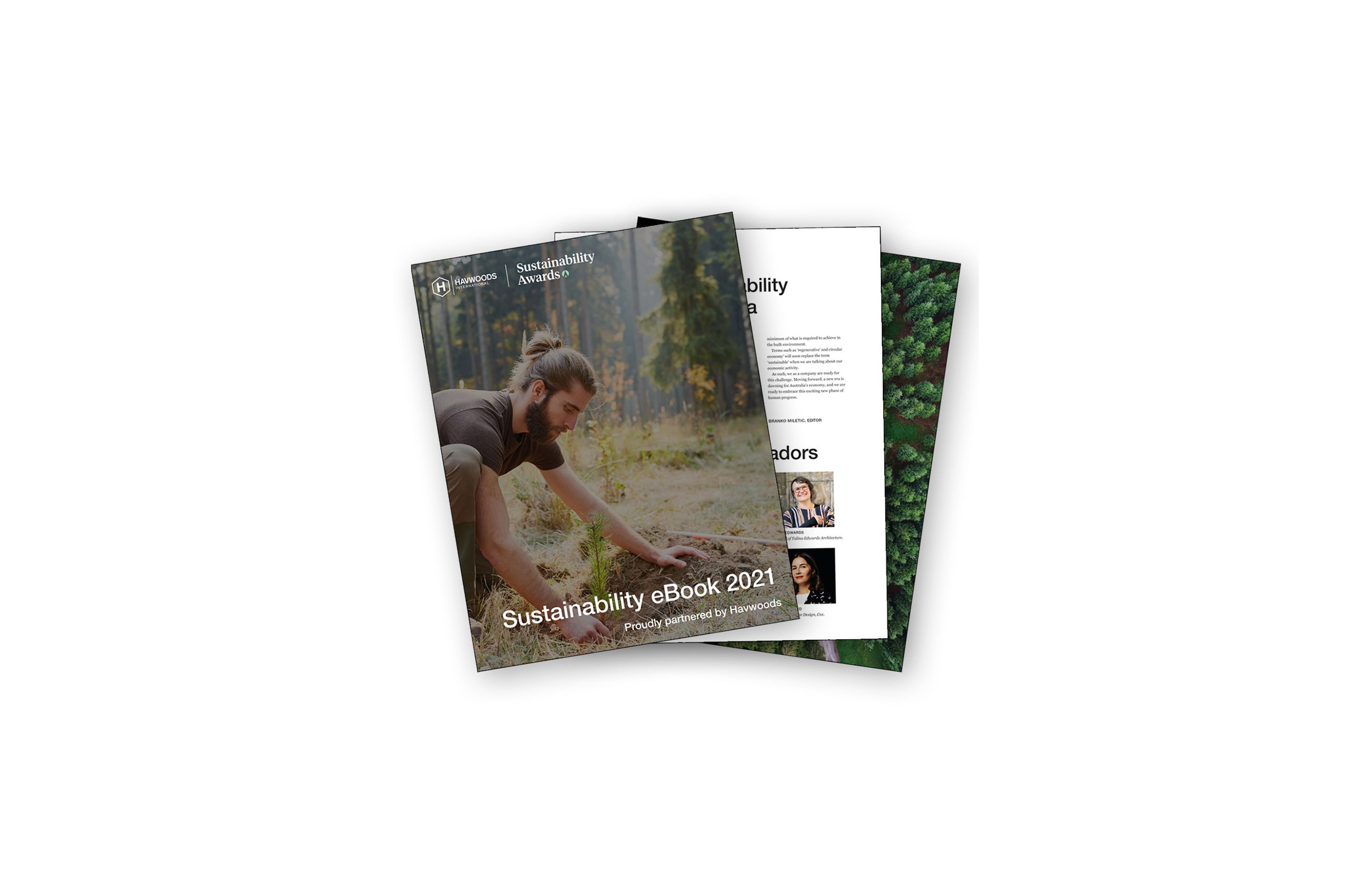Eco Labels and Reclaimed Wood: The Different Faces of the Sustainable Timber Flooring Industry