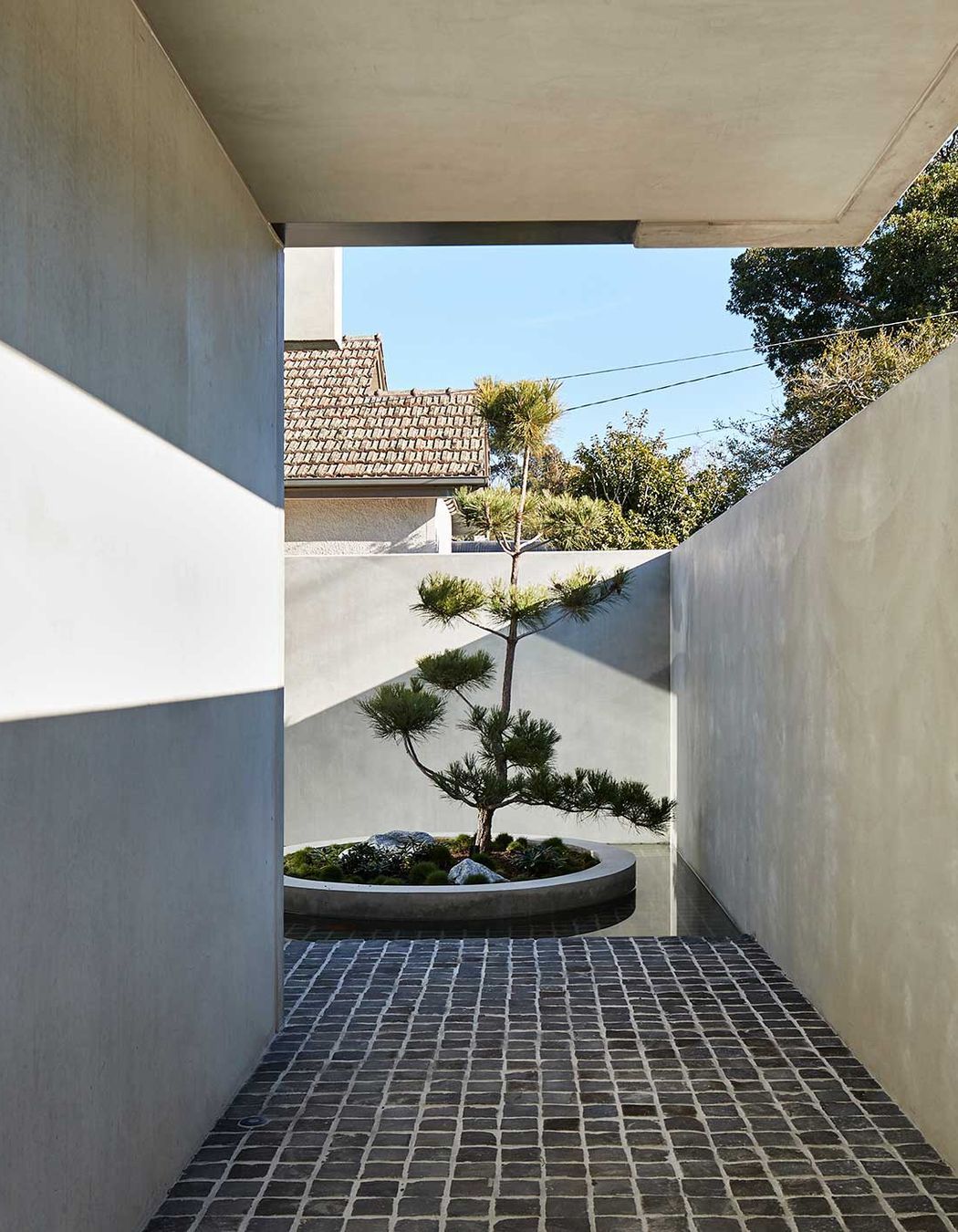 Salmon by FGR Architects | Photography by Peter Bennetts