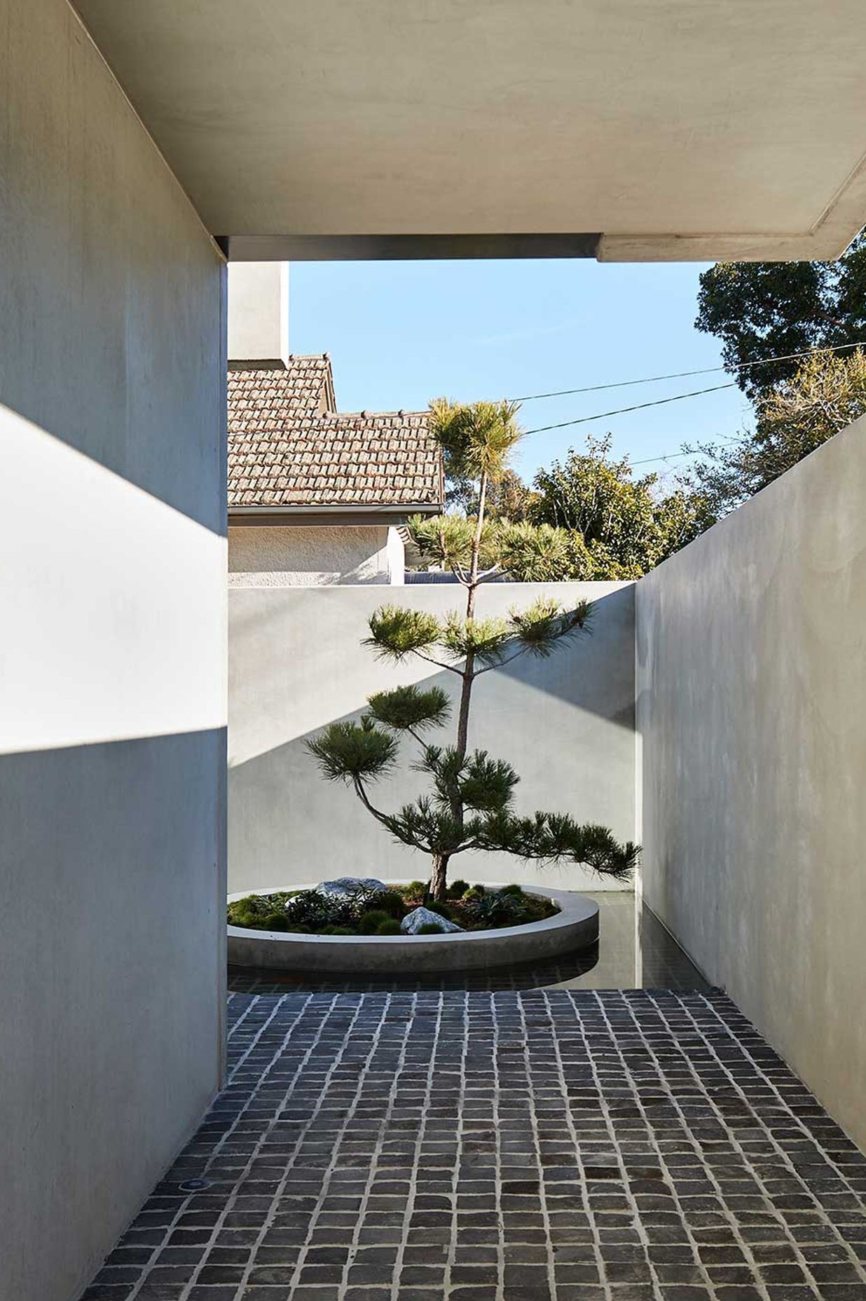 Salmon by FGR Architects | Photography by Peter Bennetts
