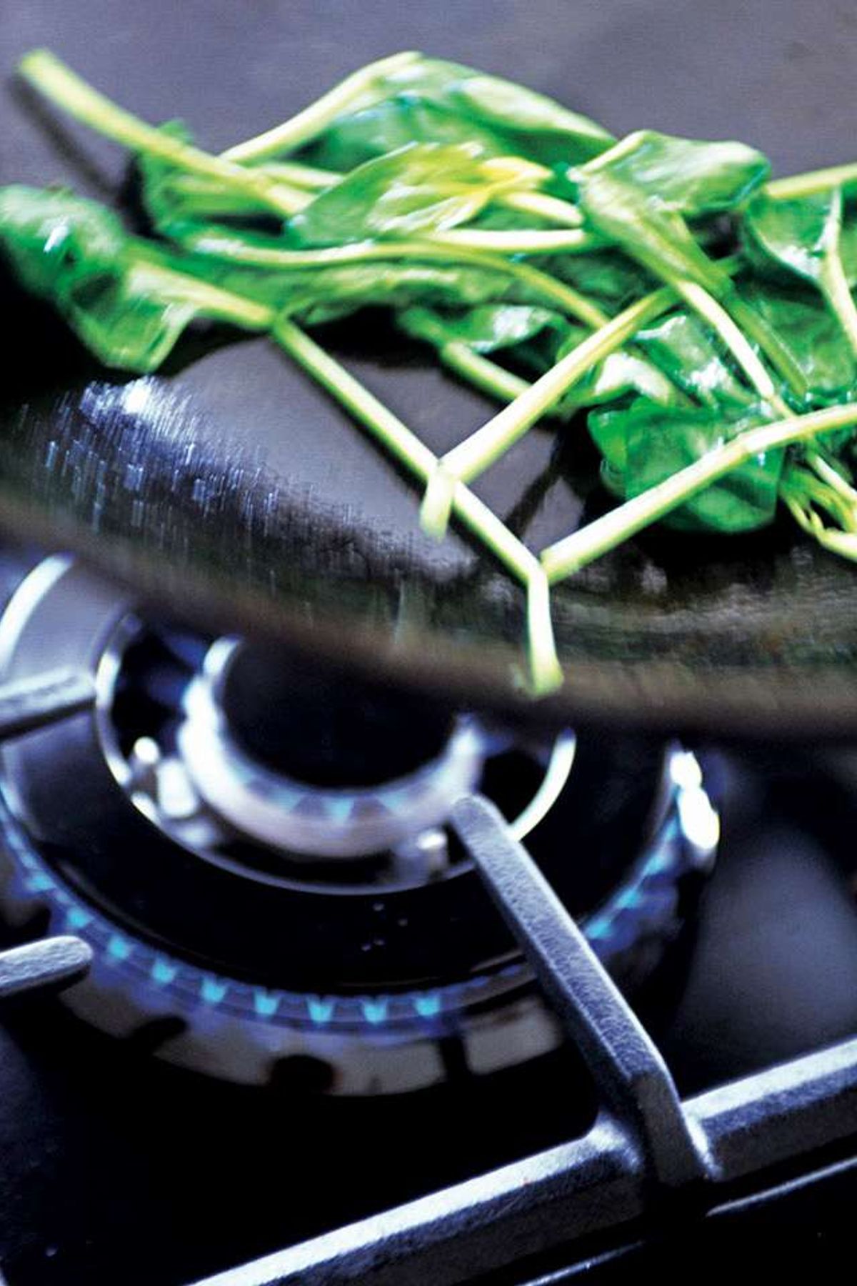 Falcon Range Cooker Multi Ring Burner with Flame Failure Safety Device