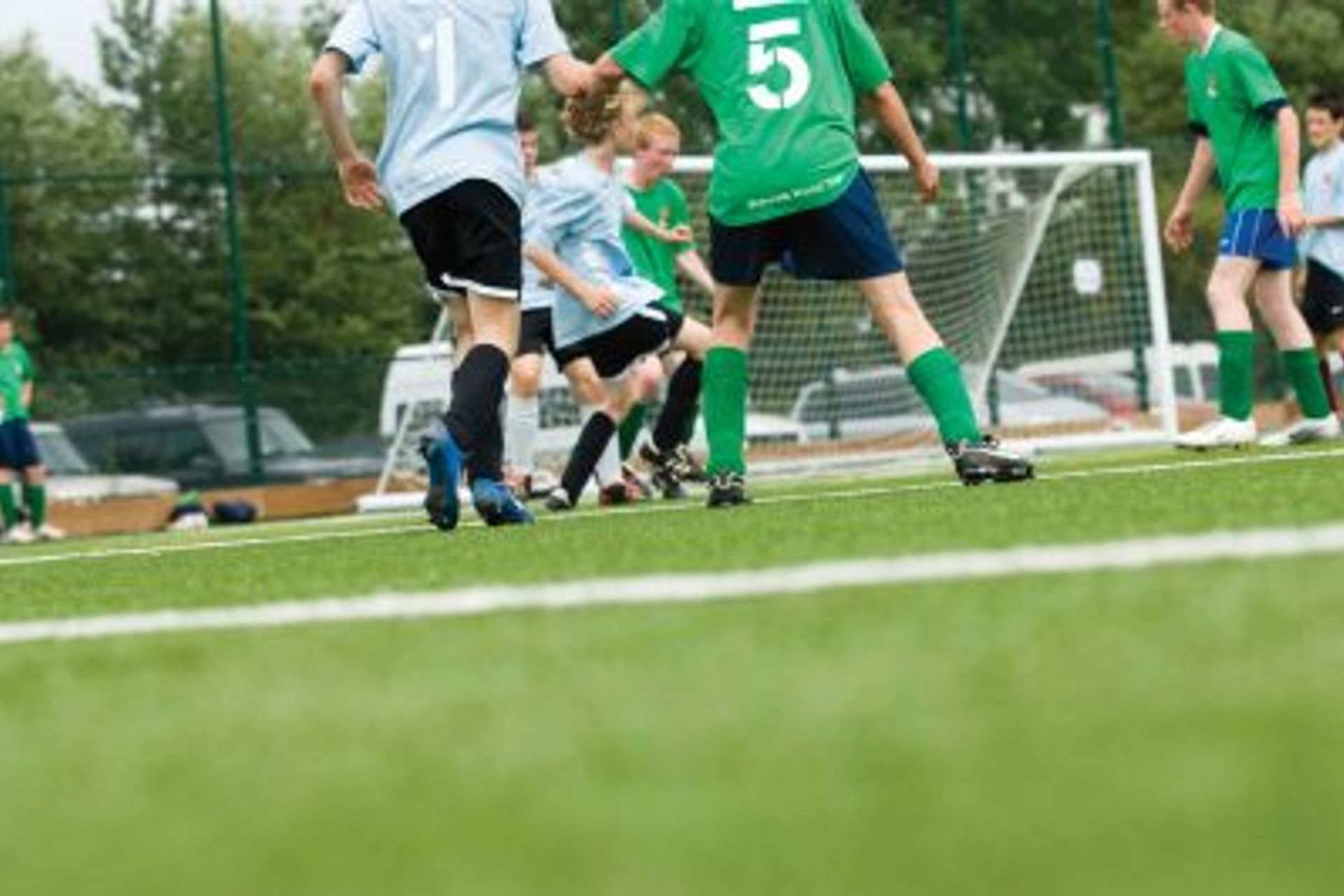 The Expert Guide to Sports Turf