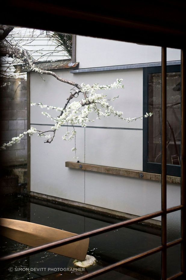 Heke Street House, Freemans Bay, Auckland, designed by Mitchell Stout Architects.