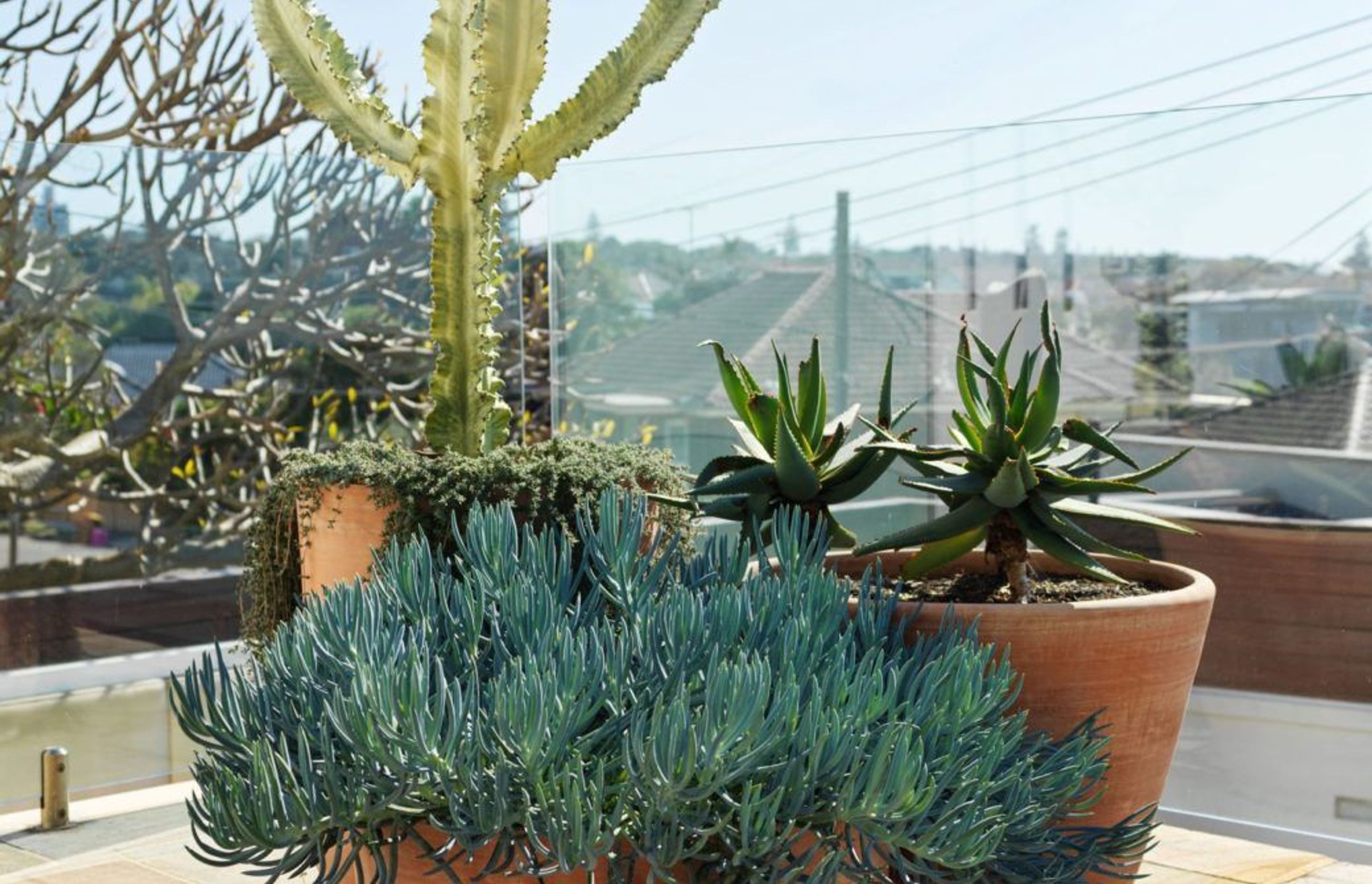 Gardening during Isolation
