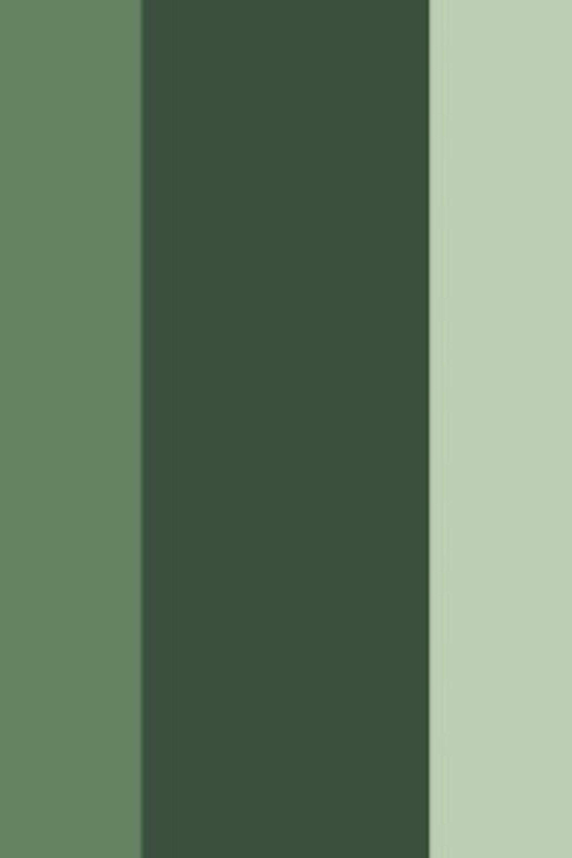Psychological Properties Of Colours – Green